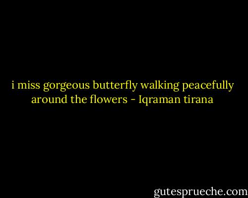 i miss gorgeous butterfly walking peacefully around the flowers - Iqraman tirana