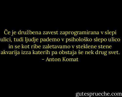 Če je družbena zavest zaprogramirana v slepi ulici, tudi ljudje pademo v psihološko slepo ulico in se kot ribe zaletavamo v steklene stene akvarija izza katerih pa obstaja še nek drug svet. - Anton Komat