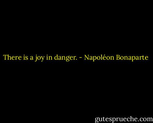 There is a joy in danger. - Napoléon Bonaparte