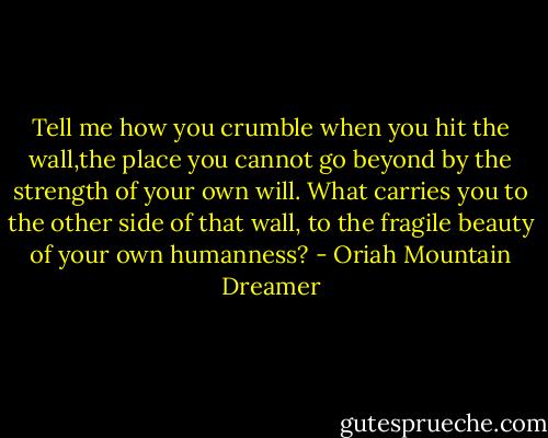 Tell me how you crumble when you hit the wall,the place you cannot go beyond by the strength of your own will. What carries you to the other side of that wall, to the fragile beauty of your own humanness? - Oriah Mountain Dreamer