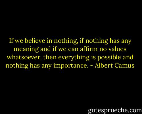 If we believe in nothing, if nothing has any meaning and if we can affirm no values whatsoever, then everything is possible and nothing has any importance. - Albert Camus