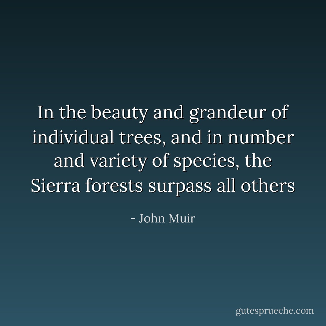 In the beauty and grandeur of individual trees, and in number and variety of species, the Sierra forests surpass all others - John Muir