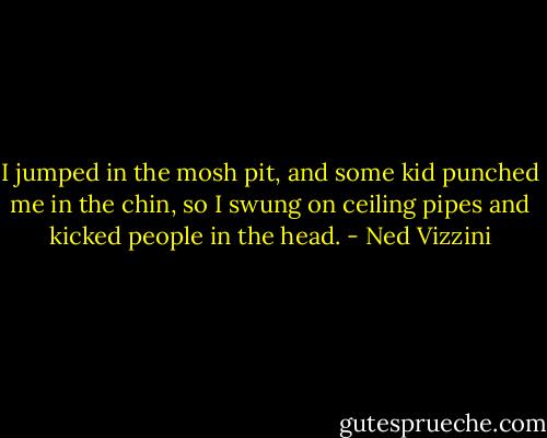I jumped in the mosh pit, and some kid punched me in the chin, so I swung on ceiling pipes and kicked people in the head. - Ned Vizzini