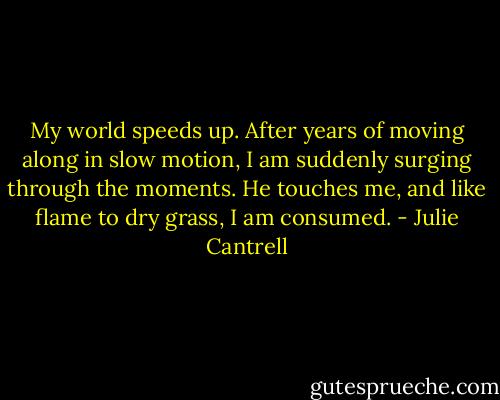 My world speeds up. After years of moving along in slow motion, I am suddenly surging through the moments. He touches me, and like flame to dry grass, I am consumed. - Julie Cantrell