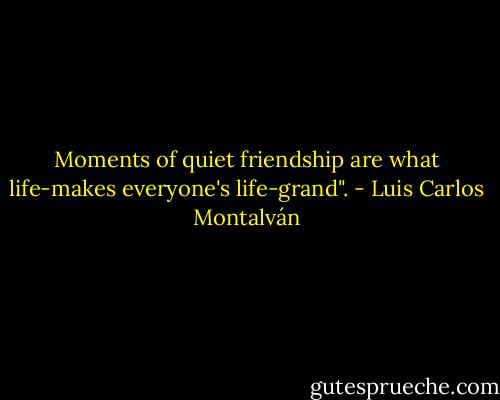 Moments of quiet friendship are what life-makes everyone's life-grand". - Luis Carlos Montalván