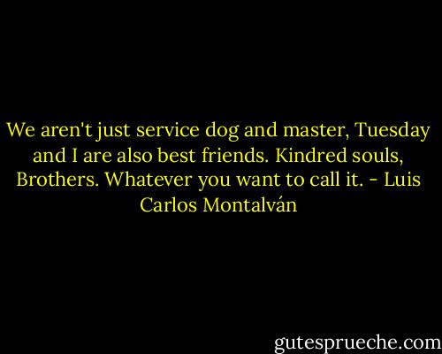 We aren't just service dog and master, Tuesday and I are also best friends. Kindred souls, Brothers. Whatever you want to call it. - Luis Carlos Montalván
