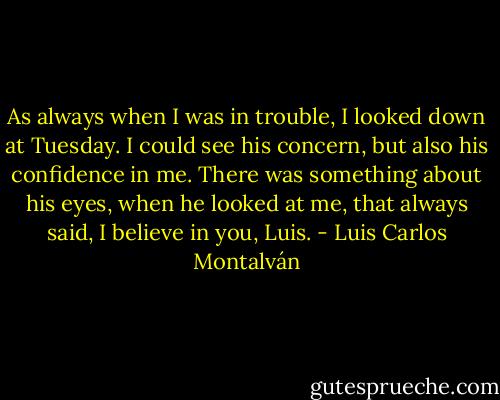 As always when I was in trouble, I looked down at Tuesday. I could see his concern, but also his confidence in me. There was something about his eyes, when he looked at me, that always said, I believe in you, Luis. - Luis Carlos Montalván