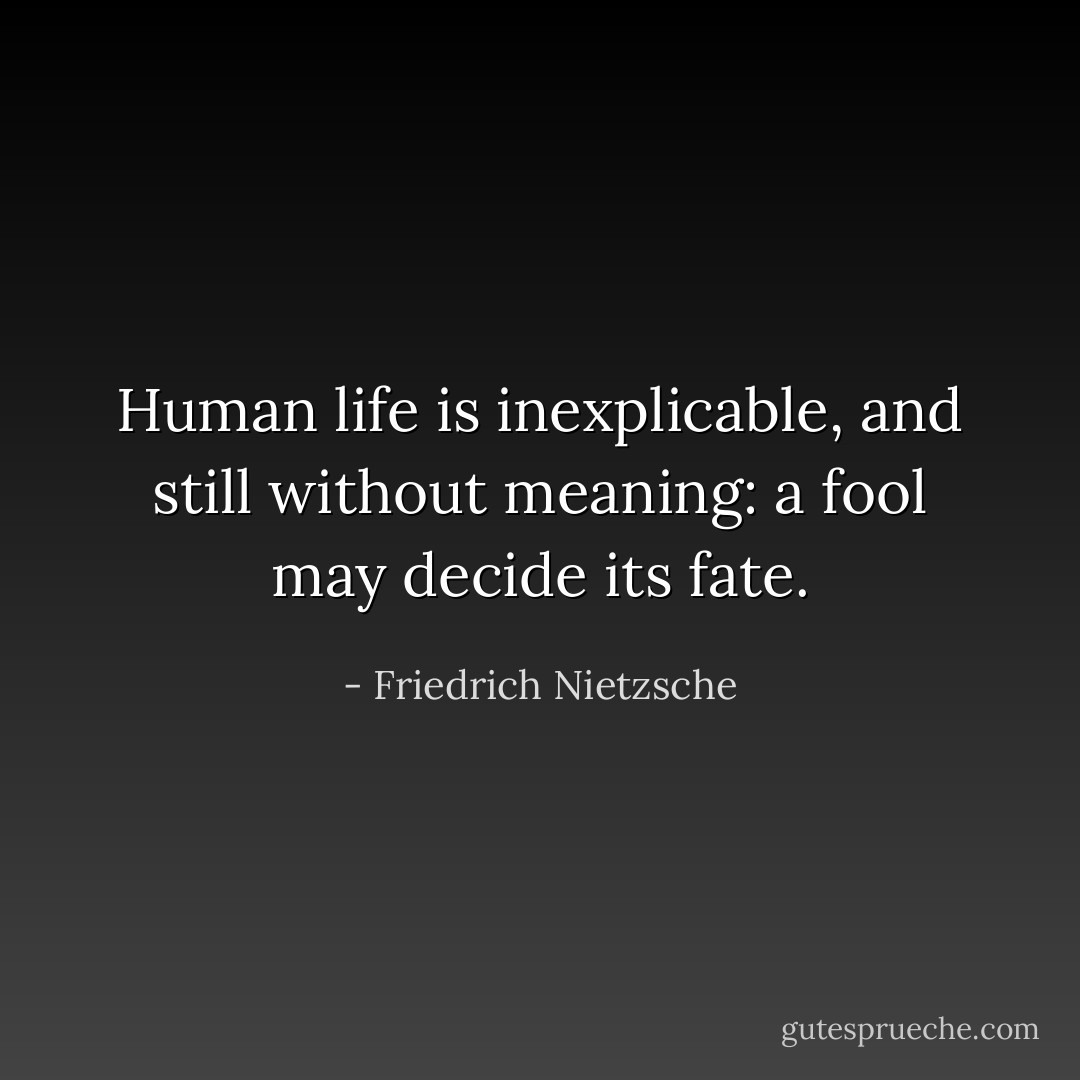 Human life is inexplicable, and still without meaning: a fool may decide its fate. - Friedrich Nietzsche