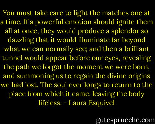 You must take care to light the matches one at a time. If a powerful emotion should ignite them all at once, they would produce a splendor so dazzling that it would illuminate far beyond what we can normally see; and then a brilliant tunnel would appear before our eyes, revealing the path we forgot the moment we were born, and summoning us to regain the divine origins we had lost. The soul ever longs to return to the place from which it came, leaving the body lifeless. - Laura Esquivel
