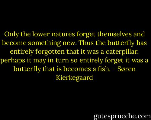 Only the lower natures forget themselves and become something new. Thus the butterfly has entirely forgotten that it was a caterpillar, perhaps it may in turn so entirely forget it was a butterfly that is becomes a fish. - Søren Kierkegaard