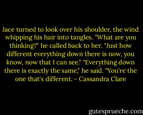 Jace turned to look over his shoulder, the wind whipping his hair into tangles. "What are you thinking?" he called back to her.<br />"Just how different everything down there is now, you know, now that I can see."<br />"Everything down there is exactly the same," he said. "You're the one that's different. - Cassandra Clare