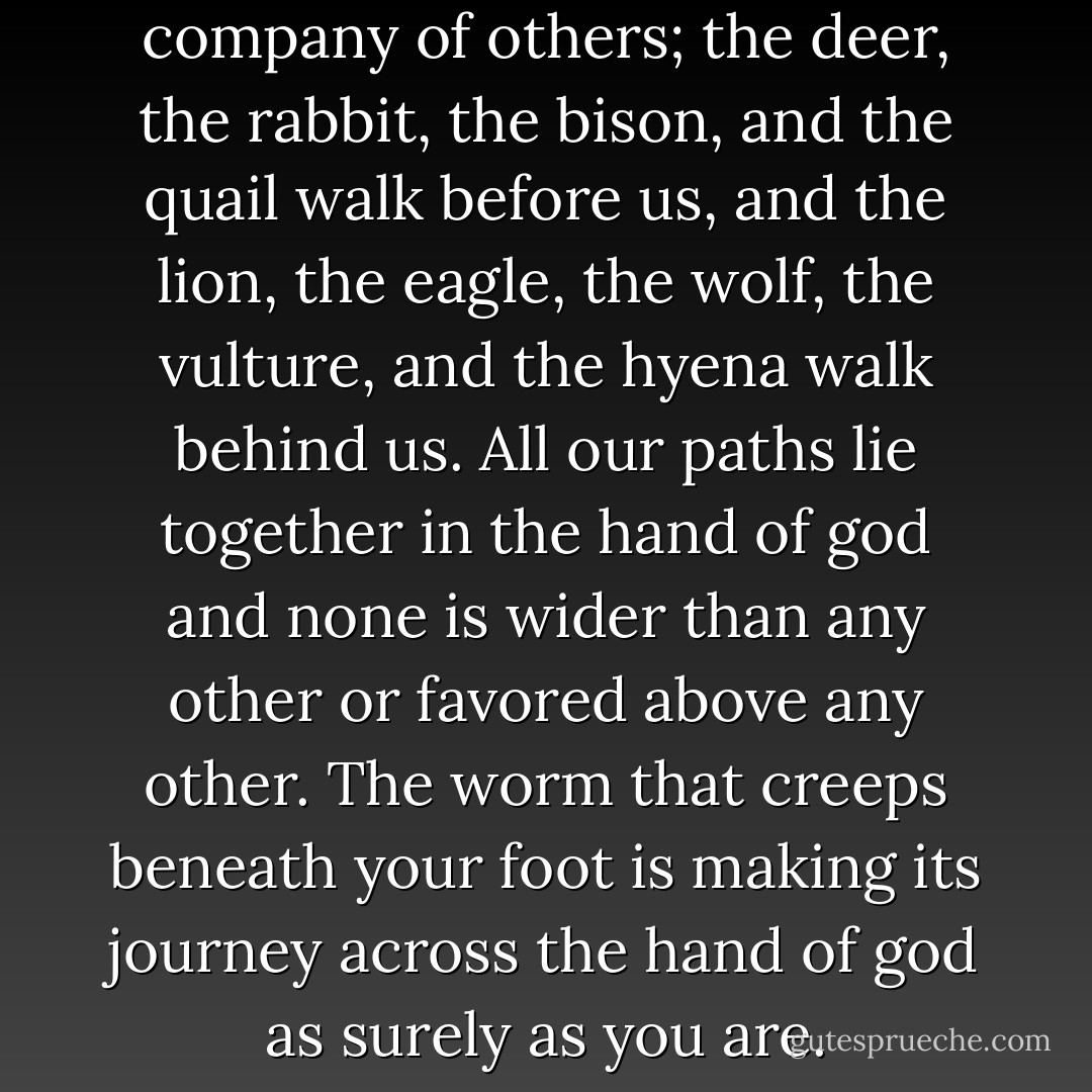 We make our journey in the company of others; the deer, the rabbit, the bison, and the quail walk before us, and the lion, the eagle, the wolf, the vulture, and the hyena walk behind us. All our paths lie together in the hand of god and none is wider than any other or favored above any other. The worm that creeps beneath your foot is making its journey across the hand of god as surely as you are. - Daniel Quinn