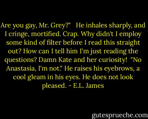 Are you gay, Mr. Grey?" <br /><br />He inhales sharply, and I cringe, mortified. Crap. Why didn't I employ some kind of filter before I read this straight out? How can I tell him I'm just reading the questions? Damn Kate and her curiosity!<br /><br />"No Anastasia, I'm not." He raises his eyebrows, a cool gleam in his eyes. He does not look pleased. - E.L. James