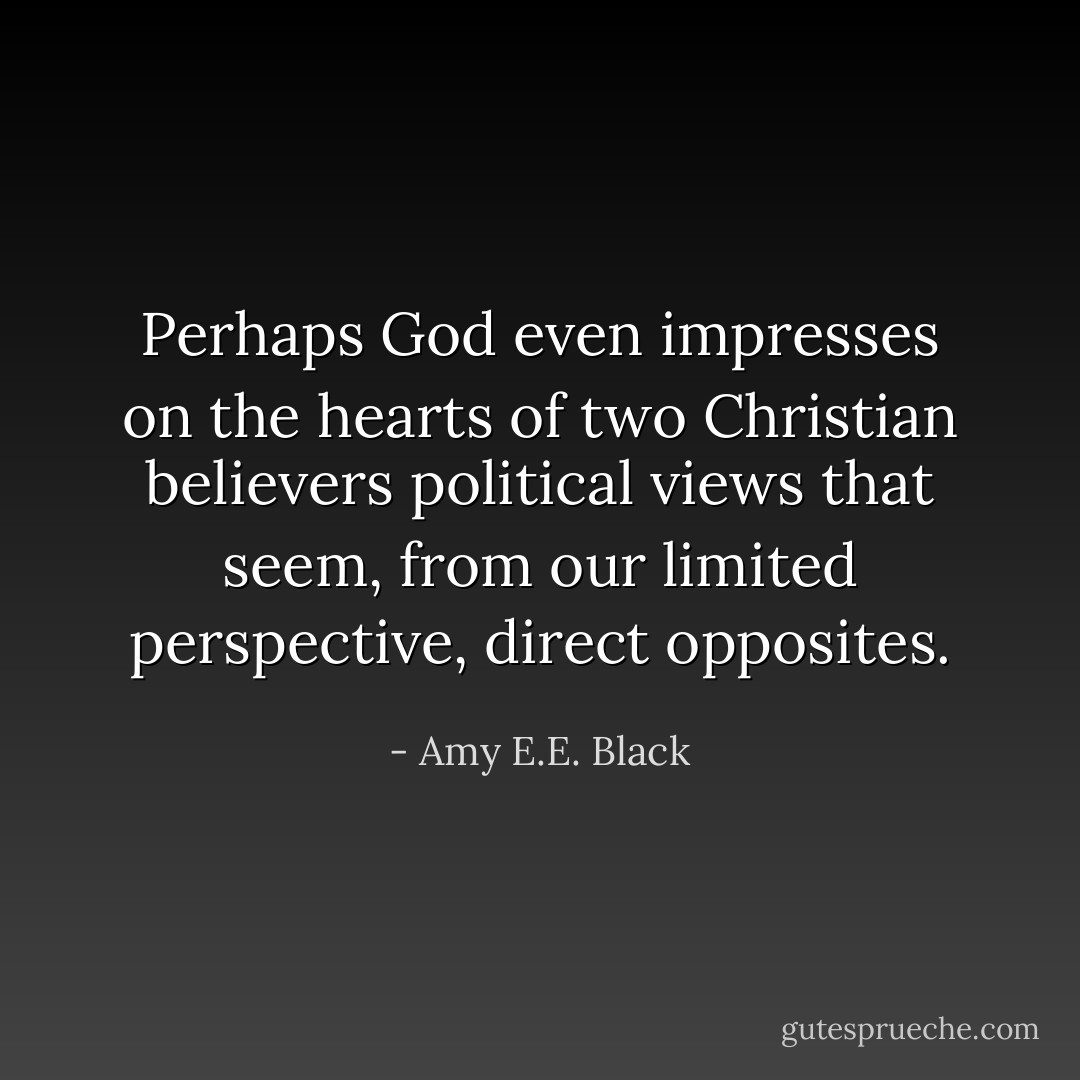 Perhaps God even impresses on the hearts of two Christian believers political views that seem, from our limited perspective, direct opposites. - Amy E.E. Black