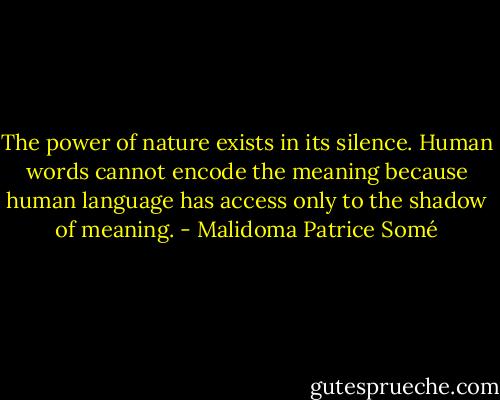 The power of nature exists in its silence. Human words cannot encode the meaning because human language has access only to the shadow of meaning. - Malidoma Patrice Somé