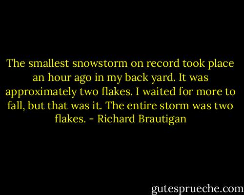 The smallest snowstorm on record took place an hour ago in my back yard. It was approximately two flakes. I waited for more to fall, but that was it. The entire storm was two flakes. - Richard Brautigan