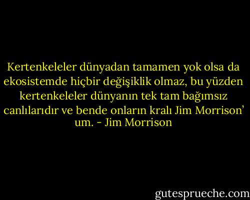 Kertenkeleler dünyadan tamamen yok olsa da ekosistemde hiçbir değişiklik olmaz, bu yüzden kertenkeleler dünyanın tek tam bağımsız canlılarıdır ve bende onların kralı Jim Morrison’ um. - Jim Morrison