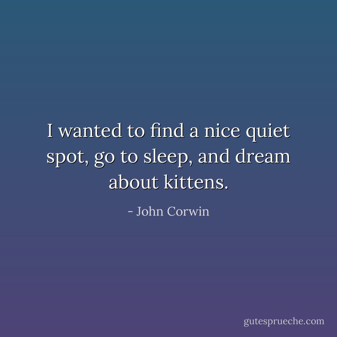 I wanted to find a nice quiet spot, go to sleep, and dream about kittens. - John Corwin