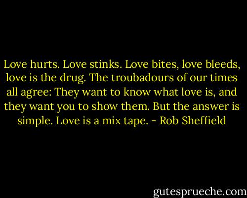 Love hurts. Love stinks. Love bites, love bleeds, love is the drug. The troubadours of our times all agree: They want to know what love is, and they want you to show them. But the answer is simple. Love is a mix tape. - Rob Sheffield