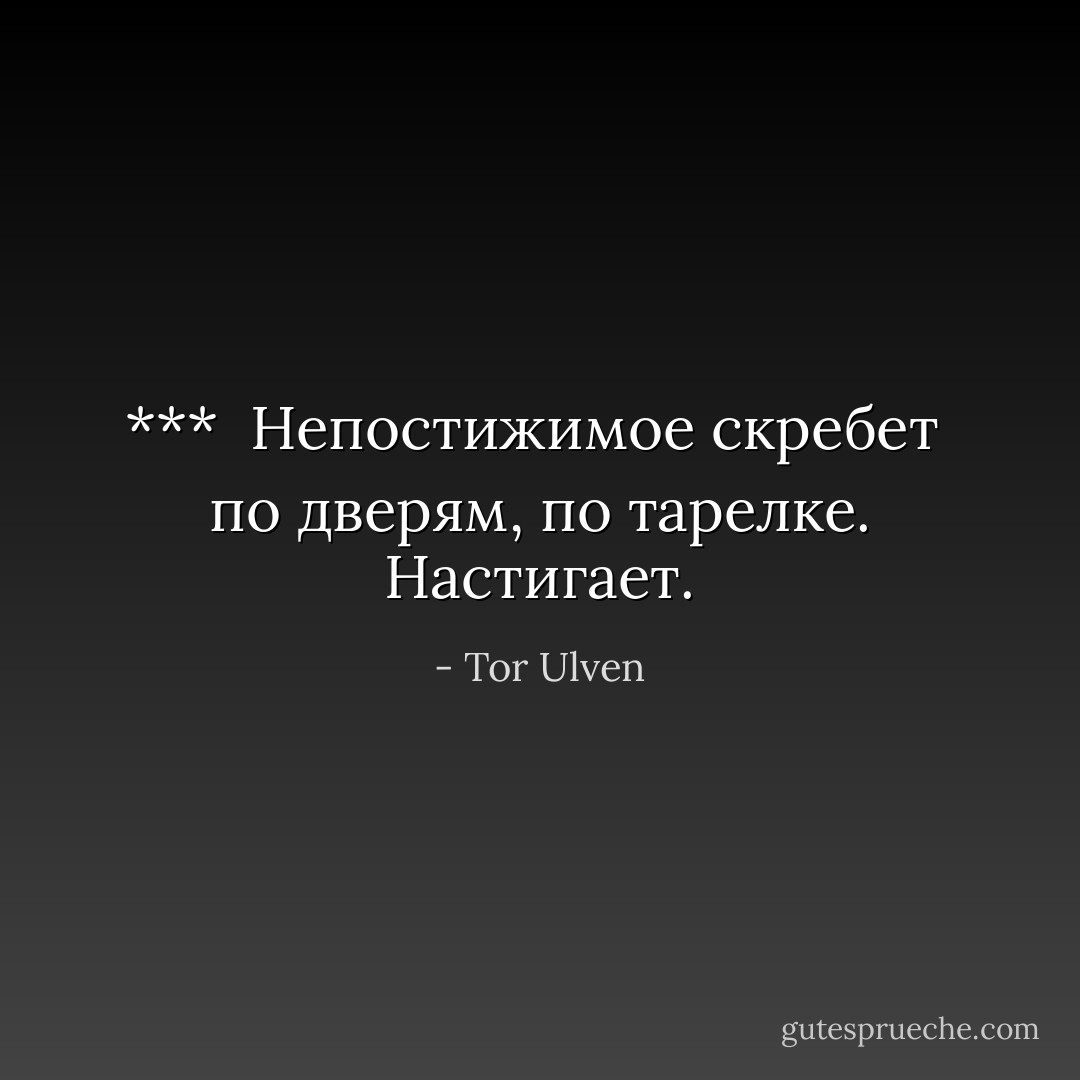 ***<br /><br />Непостижимое<br />скребет<br /><br />по дверям,<br />по тарелке. Настигает. - Tor Ulven