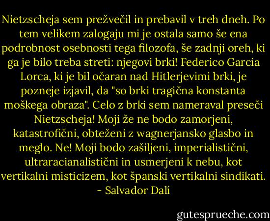 Nietzscheja sem prežvečil in prebavil v treh dneh. Po tem velikem zalogaju mi je ostala samo še ena podrobnost osebnosti tega filozofa, še zadnji oreh, ki ga je bilo treba streti: njegovi brki! Federico Garcia Lorca, ki je bil očaran nad Hitlerjevimi brki, je pozneje izjavil, da "so brki tragična konstanta moškega obraza". Celo z brki sem nameraval preseči Nietzscheja! Moji že ne bodo zamorjeni, katastrofični, obteženi z wagnerjansko glasbo in meglo. Ne! Moji bodo zašiljeni, imperialistični, ultraracianalistični in usmerjeni k nebu, kot vertikalni misticizem, kot španski vertikalni sindikati. - Salvador Dalí
