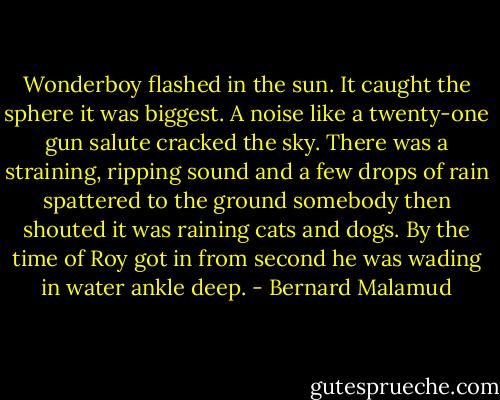 Wonderboy flashed in the sun. It caught the sphere it was biggest. A noise like a twenty-one gun salute cracked the sky. There was a straining, ripping sound and a few drops of rain spattered to the ground somebody then shouted it was raining cats and dogs. By the time of Roy got in from second he was wading in water ankle deep. - Bernard Malamud