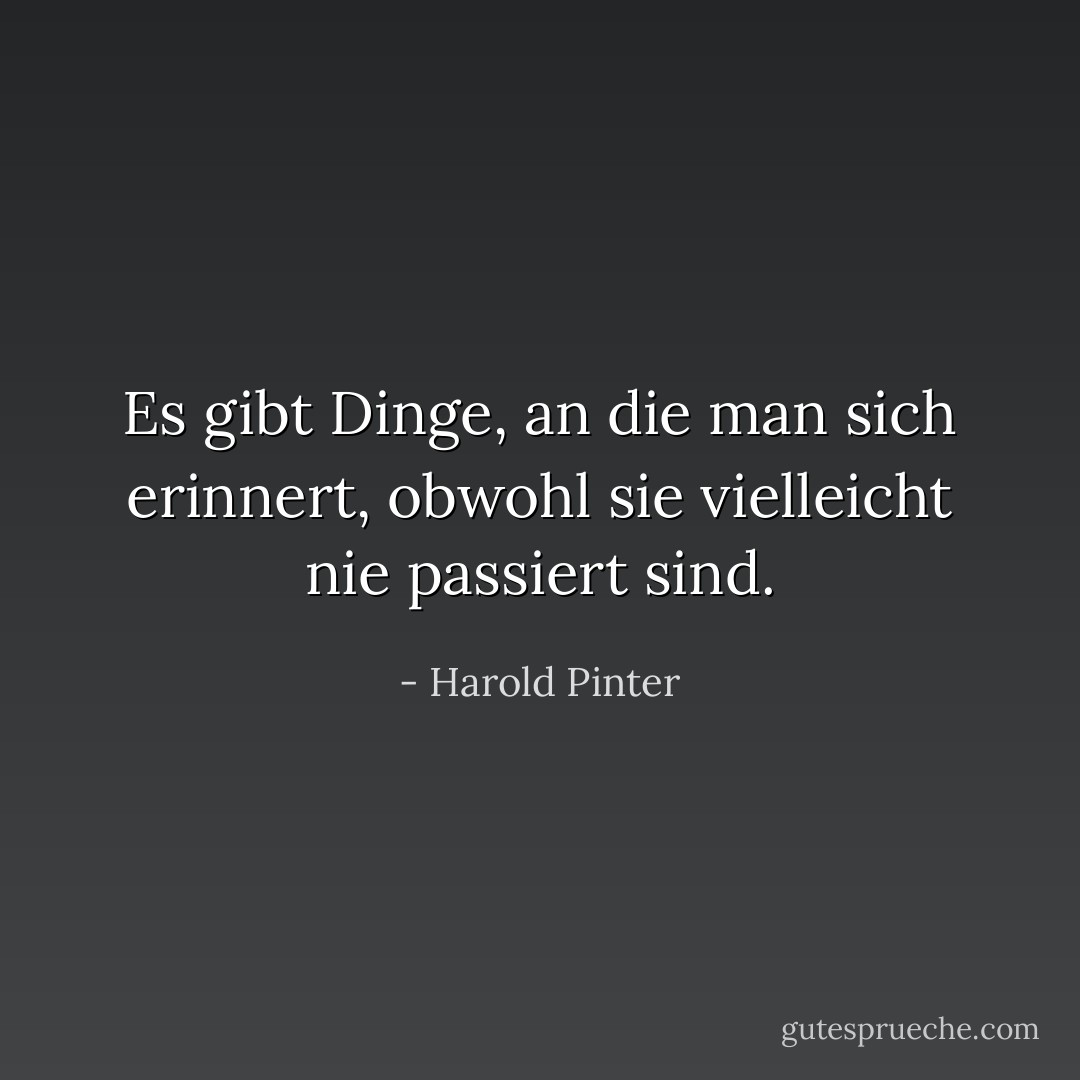 Es gibt Dinge, an die man sich erinnert, obwohl sie vielleicht nie passiert sind. - Harold Pinter<