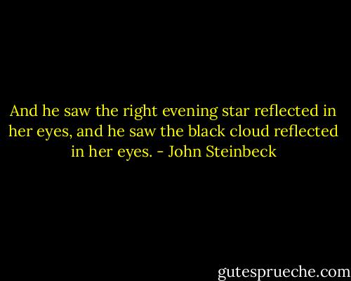And he saw the right evening star reflected in her eyes, and he saw the black cloud reflected in her eyes. - John Steinbeck