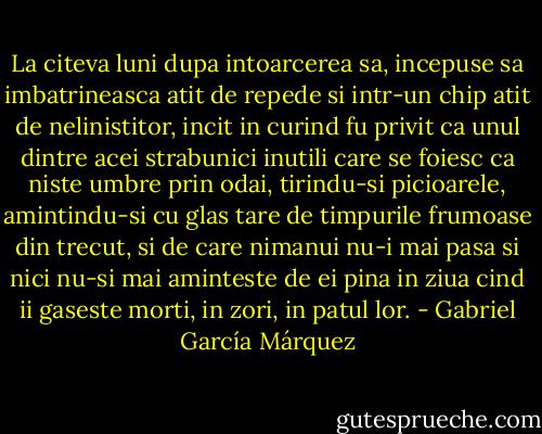 La citeva luni dupa intoarcerea sa, incepuse sa imbatrineasca atit de repede si intr-un chip atit de nelinistitor, incit in curind fu privit ca unul dintre acei strabunici inutili care se foiesc ca niste umbre prin odai, tirindu-si picioarele, amintindu-si cu glas tare de timpurile frumoase din trecut, si de care nimanui nu-i mai pasa si nici nu-si mai aminteste de ei pina in ziua cind ii gaseste morti, in zori, in patul lor. - Gabriel García Márquez