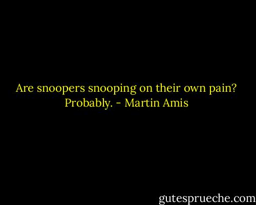 Are snoopers snooping on their own pain? Probably. - Martin Amis