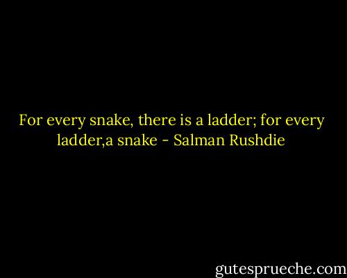 For every snake, there is a ladder; for every ladder,a snake - Salman Rushdie