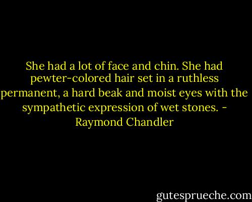 She had a lot of face and chin. She had pewter-colored hair set in a ruthless permanent, a hard beak and moist eyes with the sympathetic expression of wet stones. - Raymond Chandler
