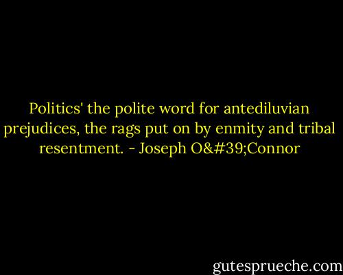Politics' the polite word for antediluvian prejudices, the rags put on by enmity and tribal resentment. - Joseph O'Connor