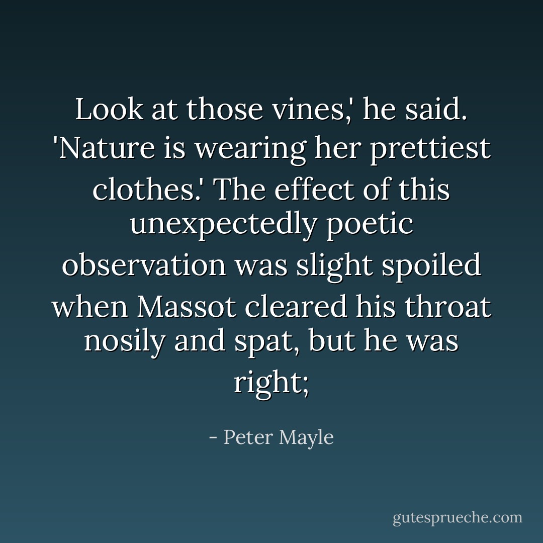 Look at those vines,' he said. 'Nature is wearing her prettiest clothes.'<br />The effect of this unexpectedly poetic observation was slight spoiled when Massot cleared his throat nosily and spat, but he was right; - Peter Mayle