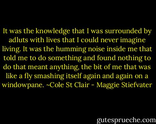 It was the knowledge that I was surrounded by adluts with lives that I could never imagine living. It was the humming noise inside me that told me to do something and found nothing to do that meant anything, the bit of me that was like a fly smashing itself again and again on a windowpane. ~Cole St Clair - Maggie Stiefvater