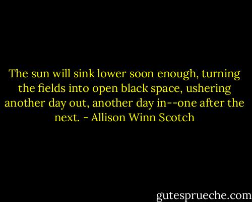 The sun will sink lower soon enough, turning the fields into open black space, ushering another day out, another day in--one after the next. - Allison Winn Scotch