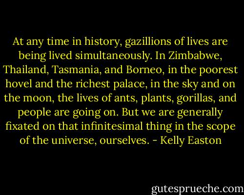 At any time in history, gazillions of lives are being lived simultaneously. In Zimbabwe, Thailand, Tasmania, and Borneo, in the poorest hovel and the richest palace, in the sky and on the moon, the lives of ants, plants, gorillas, and people are going on. But we are generally fixated on that infinitesimal thing in the scope of the universe, ourselves. - Kelly Easton