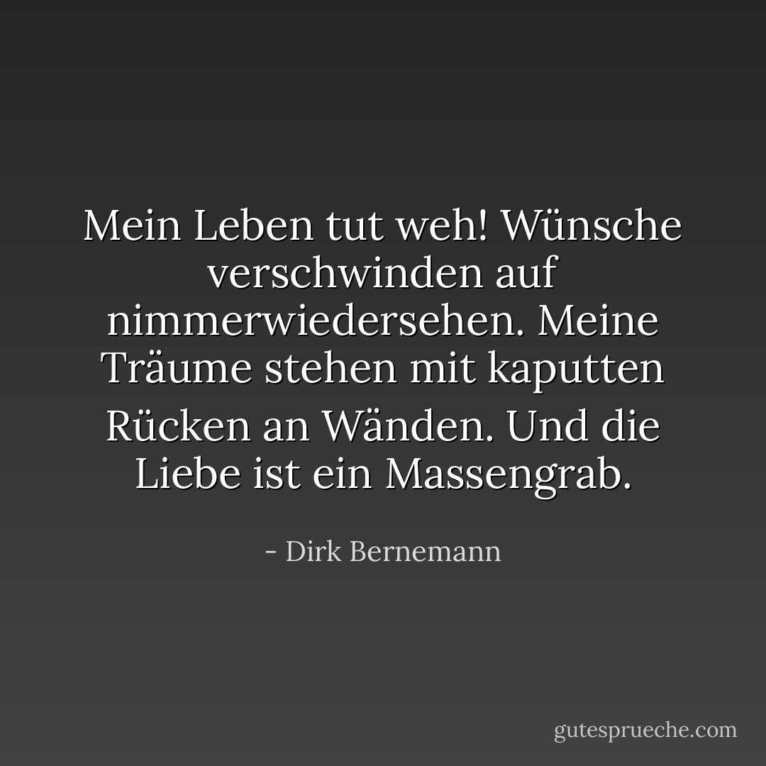 Mein Leben tut weh!<br />Wünsche verschwinden auf nimmerwiedersehen.<br />Meine Träume stehen mit kaputten Rücken an Wänden.<br />Und die Liebe ist ein Massengrab. - Dirk Bernemann