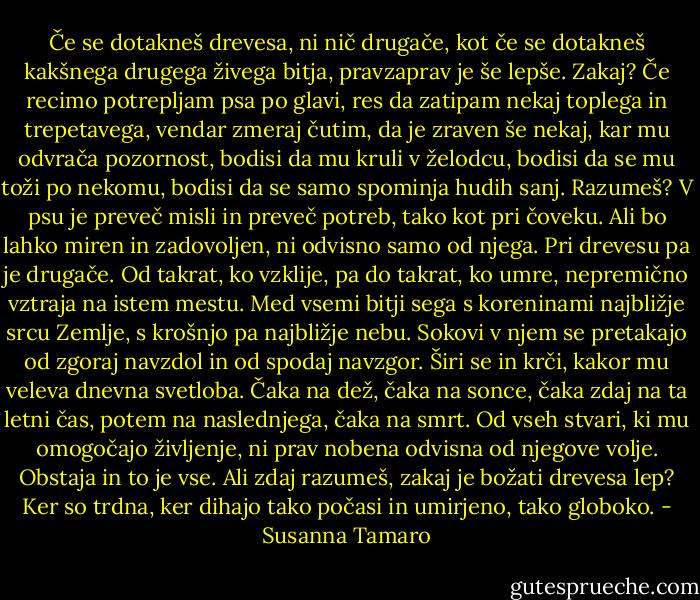 Če se dotakneš drevesa, ni nič drugače, kot če se dotakneš kakšnega drugega živega bitja, pravzaprav je še lepše. Zakaj? Če recimo potrepljam psa po glavi, res da zatipam nekaj toplega in trepetavega, vendar zmeraj čutim, da je zraven še nekaj, kar mu odvrača pozornost, bodisi da mu kruli v želodcu, bodisi da se mu toži po nekomu, bodisi da se samo spominja hudih sanj. Razumeš? V psu je preveč misli in preveč potreb, tako kot pri čoveku. Ali bo lahko miren in zadovoljen, ni odvisno samo od njega. Pri drevesu pa je drugače. Od takrat, ko vzklije, pa do takrat, ko umre, nepremično vztraja na istem mestu. Med vsemi bitji sega s koreninami najbližje srcu Zemlje, s krošnjo pa najbližje nebu. Sokovi v njem se pretakajo od zgoraj navzdol in od spodaj navzgor. Širi se in krči, kakor mu veleva dnevna svetloba. Čaka na dež, čaka na sonce, čaka zdaj na ta letni čas, potem na naslednjega, čaka na smrt. Od vseh stvari, ki mu omogočajo življenje, ni prav nobena odvisna od njegove volje. Obstaja in to je vse. Ali zdaj razumeš, zakaj je božati drevesa lep? Ker so trdna, ker dihajo tako počasi in umirjeno, tako globoko. - Susanna Tamaro