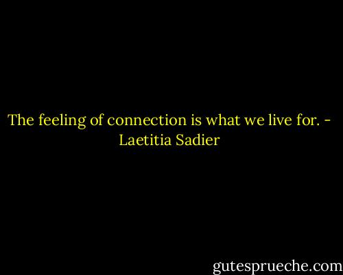 The feeling of connection is what we live for. - Laetitia Sadier