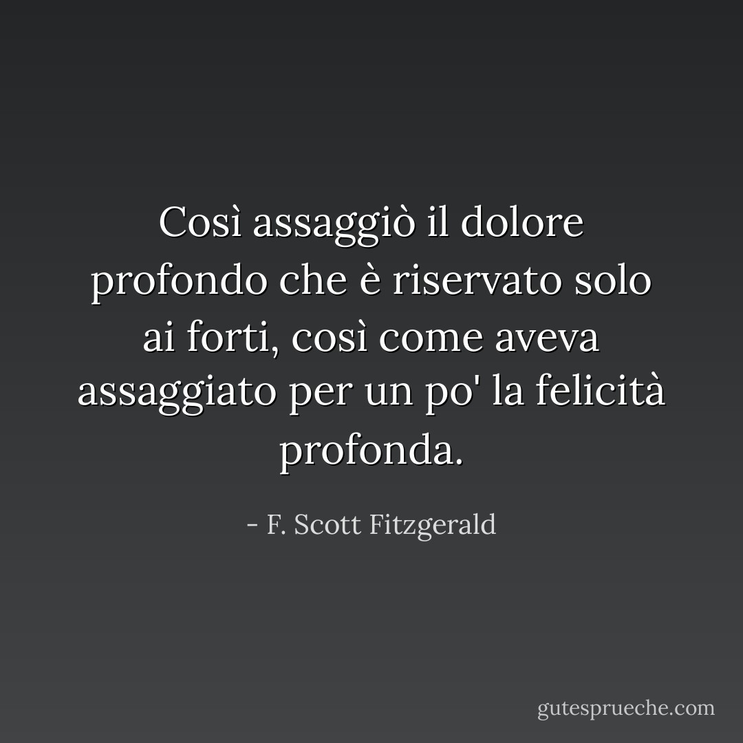 Così assaggiò il dolore profondo che è riservato solo ai forti, così come aveva assaggiato per un po' la felicità profonda. - F. Scott Fitzgerald