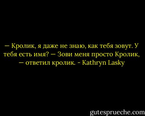 — Кролик, я даже не знаю, как тебя зовут. У тебя есть имя?<br />— Зови меня просто Кролик, — ответил кролик. - Kathryn Lasky