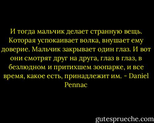 И тогда мальчик делает странную вещь. Которая успокаивает волка, внушает ему доверие. Мальчик закрывает один глаз.<br />И вот они смотрят друг на друга, глаз в глаз, в безлюдном и притихшем зоопарке, и все время, какое есть, принадлежит им. - Daniel Pennac