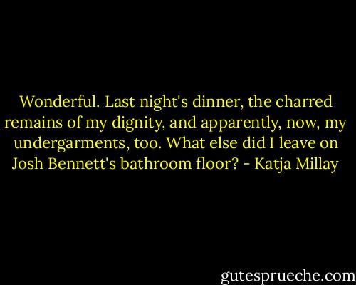Wonderful. Last night's dinner, the charred remains of my dignity, and apparently, now, my undergarments, too. What else did I leave on Josh Bennett's bathroom floor? - Katja Millay