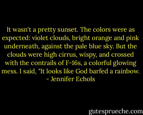 It wasn't a pretty sunset. The colors were as expected: violet clouds, bright orange and pink underneath, against the pale blue sky. But the clouds were high cirrus, wispy, and crossed with the contrails of F-16s, a colorful glowing mess. I said, "It looks like God barfed a rainbow. - Jennifer Echols