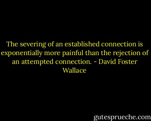 The severing of an established connection is exponentially more painful than the rejection of an attempted connection. - David Foster Wallace