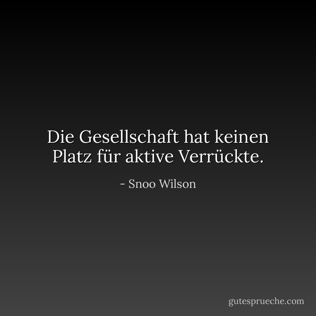 Die Gesellschaft hat keinen Platz für aktive Verrückte. - Snoo Wilson<