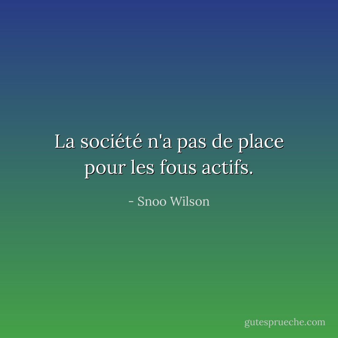 La société n'a pas de place pour les fous actifs. - Snoo Wilson