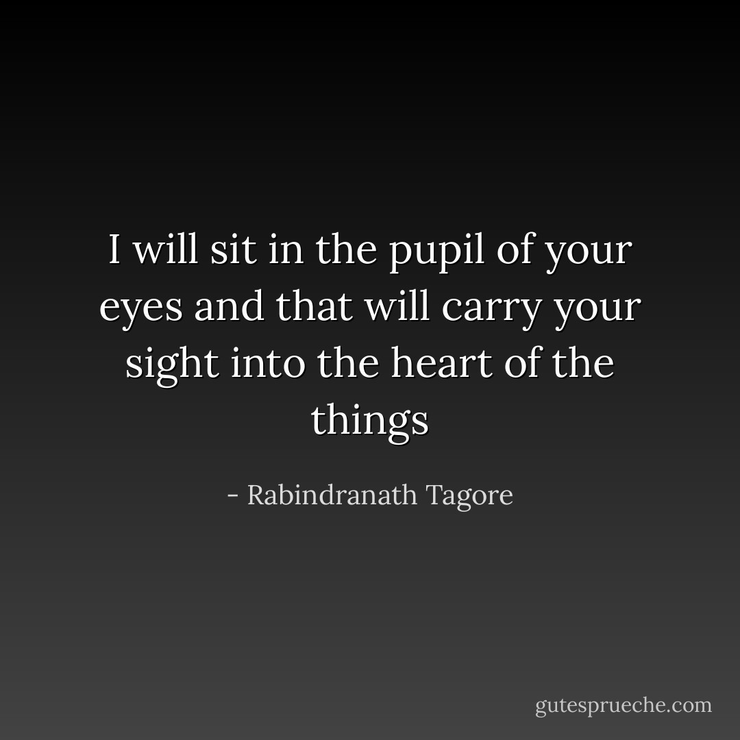 I will sit in the pupil of your eyes and that will carry your sight into the heart of the things - Rabindranath Tagore