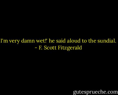 I'm very damn wet!' he said aloud to the sundial. - F. Scott Fitzgerald